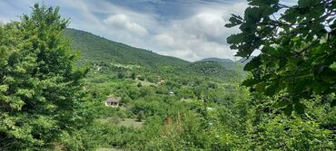 Torpaq sahələrinin satışı: 12 sot, Mülkiyyətçi, Kupça (Çıxarış) — 1