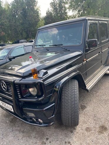 g shock ga 100: Mercedes-Benz G 320: 1994 г., Автомат, Газ, Внедорожник