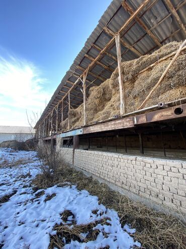 Продажа участков: 20 соток, Для бизнеса, Красная книга, Договор купли-продажи — 4