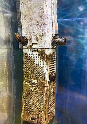 Аквариумы: Рыбки | Аквариумы | Оборудование Жемчужина магазин аквариумистики🐠 — 29