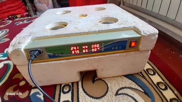 лотки для яиц: Инкубатор для яиц с автоматическим переворотом - Корпус из пенопласта