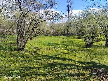 Torpaq sahələrinin satışı: Azərbaycanın ən gözəl guşələrindən biri olan Oğuz rayonu Xaçmaz — 16