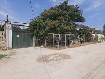 Həyət evi alıram: - Geniş, daşla döşənmiş həyət: yaşıl ağaclar, gül kolları, hasarlı — 3