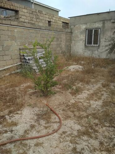xacmaz torpag: 7 sot, Kupça (Çıxarış)
