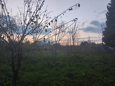 zig kirayə ev: 7 otaqlı, 150 kv. m, Təmirsiz — 3