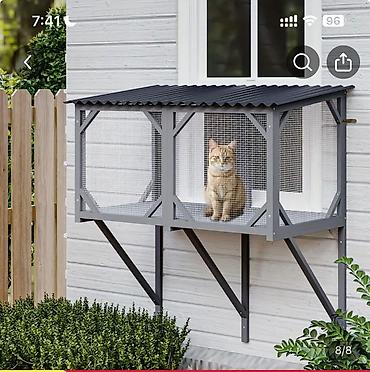 Qəfəslər: Pəncərə üçün “catio” – pişiklər üçün açıq, təhlükəsiz balkon-kafes - — 2