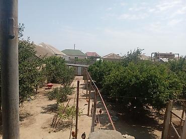 kiraye evler bileceri: Salam 2 mərtəbəli 6 otağı 8 sotun içində həyət evi satılır qazi suyu — 7