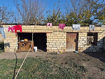 Həyət evləri və villalar: 14 sot torpaq sahesinin içinde yaşayışlı ev köhnə tikili 2yataq otaq 1 — 7