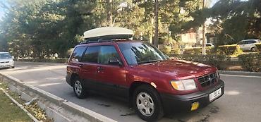 куплю продаж: Subaru Forester: 1999 г., 2.5 л, Автомат, Газ, Универсал — 2