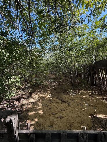 Продажа участков: 10 соток, Для бизнеса, Красная книга, Тех паспорт, Договор купли-продажи — 3