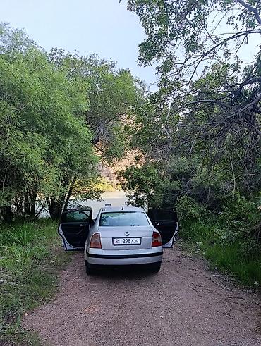 pass: Volkswagen Passat: 2002 г., Седан — 5