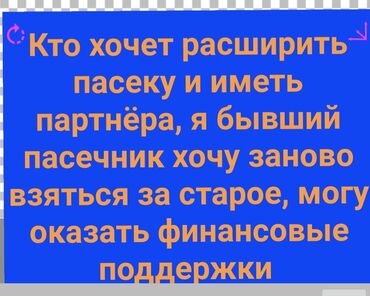 отк без опыта: Партнёрство по пчеловодству/пасеке - Предлагается совместная работа