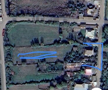 приют для животных в баку адрес: 40 sot, Kənd təsərrüfatı, Barter mümkündür, Kupça (Çıxarış)