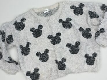 bluzki z myszką miki dla dorosłych: Sweter damski, Disney, 3XL