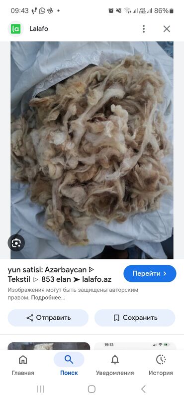 temiz yunun qiymeti: Yun satilir Unvan Bayil