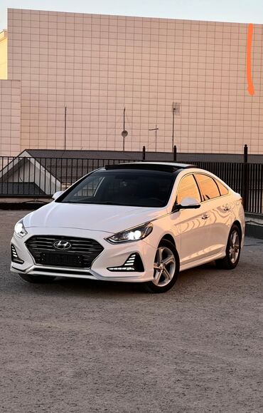 Зоотовары: Hyundai Sonata: 2017 г., 2 л, Автомат, Газ, Седан