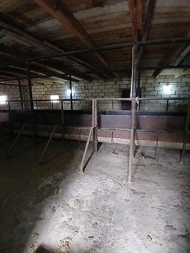 Torpaq sahələrinin satışı: Kənd təsərrüfatı — 9