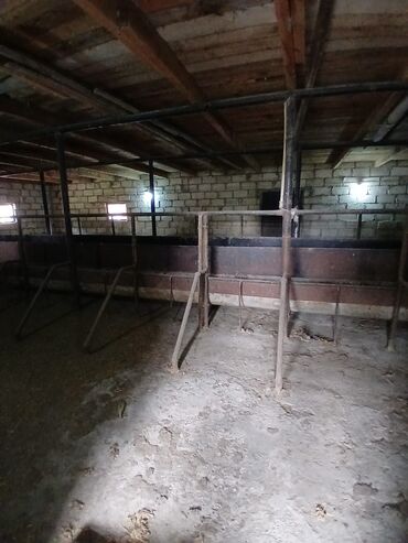 Anbar və emalatxanalar: Ferma təsərrüfatı üçün hazır təsərrüfat sahəsi və tikililər - — 7