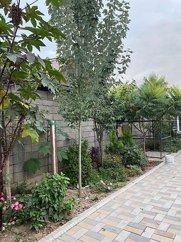 Долгосрочная аренда домов: 300 м², 8 комнат, Евроремонт, Кондиционер, Бронированные двери — 3