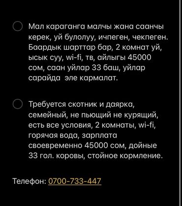 работа в бишкеке с английским языком: Требуется Скотник, Оплата Ежемесячно