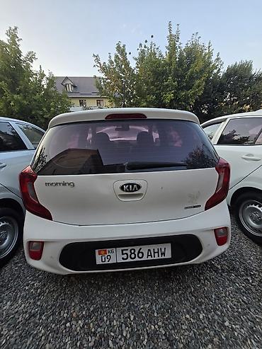 geeli coolray: Kia Morning: 2019 г., 1 л, Автомат, Бензин, Хэтчбэк — 3