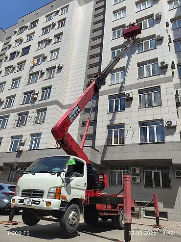 250: Стрела 28 м, 300 т — 1