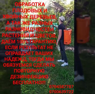 Бытовые услуги в Кыргызстан: Обработка плодовых и хвойных деревьев, а так же разных разновидностей