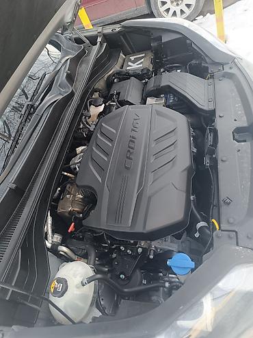 Kia: Kia Sportage: 2019 г., 2 л, Автомат, Дизель, Кроссовер — 16