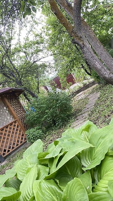 Продажа коттеджей и домов: Продаётся дача в дачном кооперативе “Горное” ( не путать с горной — 14
