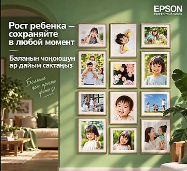 принтер сканер печать: Цветной струйный принтер Epson EcoTank L8058 — фотопринтер с — 4