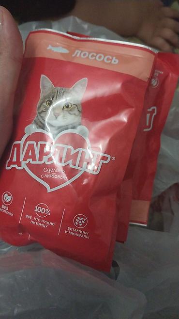 i̇tlər ucuz: Pisik qumu ve sampunu qum 8 kq yarimdi birdefe isletmisem 8 kq temiz — 4
