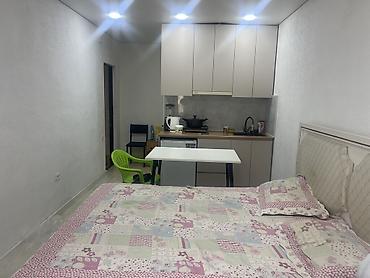 Студия с кухонным уголком и двуспальной кроватью - Планировка: единое