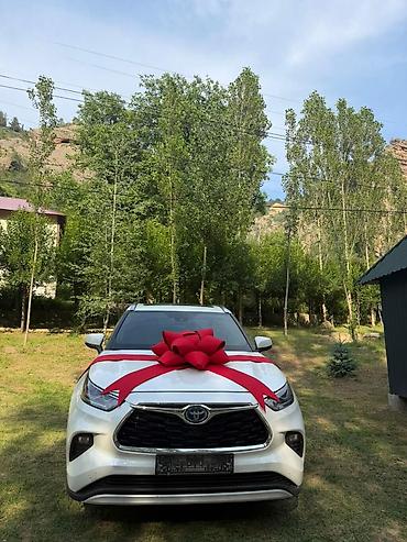 мешок для товара: Большие подарочные банты для автомобилей - Эффектные банты для — 6