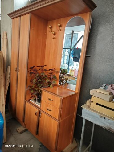 стеллаж шкаф: Açılan, 2 qapılı Dəhliz dolabı