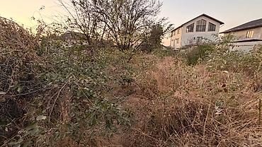 haunted mound: 5 соток, Для строительства, Красная книга, Тех паспорт, Договор купли-продажи — 3