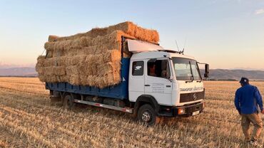 фары на опель вектра а: Услуга: грузоперевозки на бортовом грузовике Mercedes-Benz - Тип