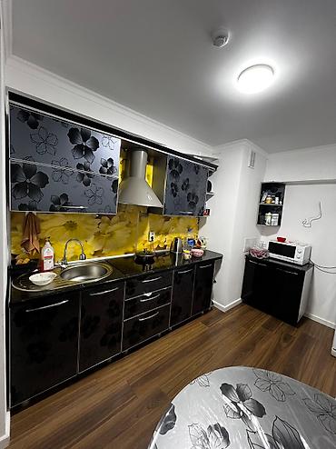 studio apartment: 3 комнаты, 67 м², Элитка, Цокольный этаж этаж, Евроремонт — 3