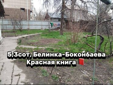сколько стоит 1 сотка земли в бишкеке 2021: 5 соток, Курулуш, Сатып алуу-сатуу келишими, Кызыл китеп, Техпаспорт