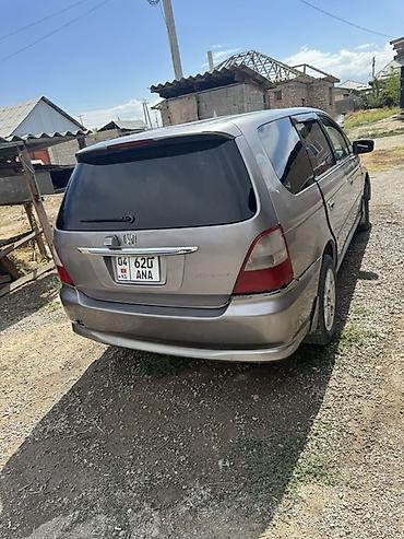 voxy noah: Honda Odyssey: 2003 г., Автомат, Минивэн — 5