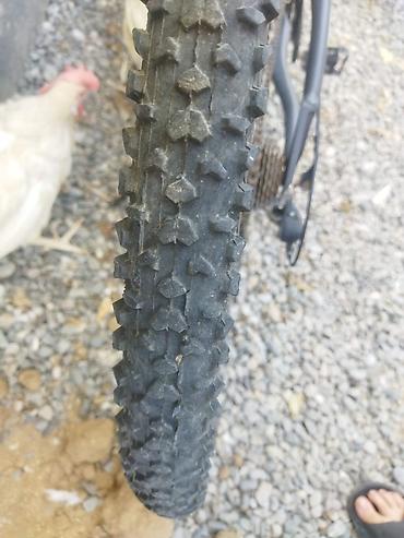 İdman velosipedləri: Aurus dağ velosipedi - Çərçivə: Aurus alminum problemi yoxdu — 3