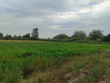 ramanıda torpaq satılır: 140 sot, Kənd təsərrüfatı, Mülkiyyətçi, Kupça (Çıxarış), Bələdiyyə