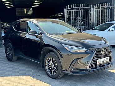 alba: Lexus NX: 2023 г., 0.4 л, Автомат, Бензин, Внедорожник — 1