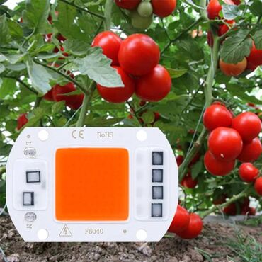 Baštenska rasveta: Led sijalice za rast bilja e27 full spektar Uv Led Grow 72l — 12