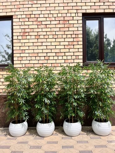 Декоративные цветы: Искусственные деревья — это идеальное решение для оформления интерьера at lalafo.kg — 18 Декоративные цветы: Искусственные деревья — это идеальное решение для оформления интерьера — 18