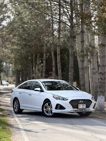Hyundai: Hyundai Sonata: 2019 г., 2.4 л, Автомат, Бензин, Седан — 1