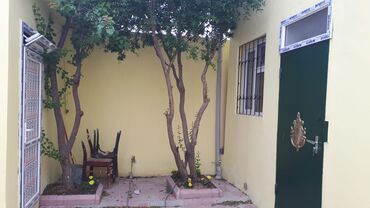 Həyət evləri və villaların satışı: Binəqədi qəs. 3 otaqlı, 68 kv. m, Yeni təmirli — 4