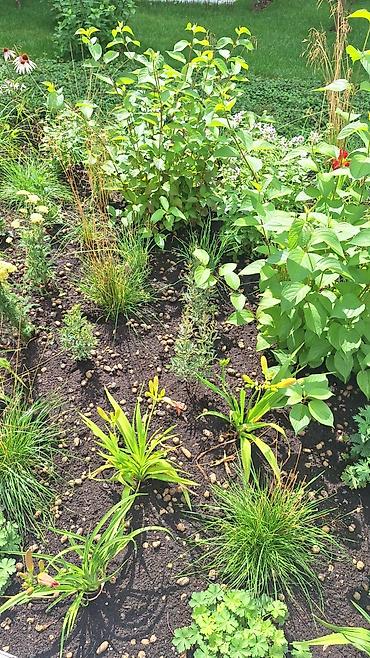 Насосы: Здравствуйте. Мы частная компания которая занимается профессионально — 6