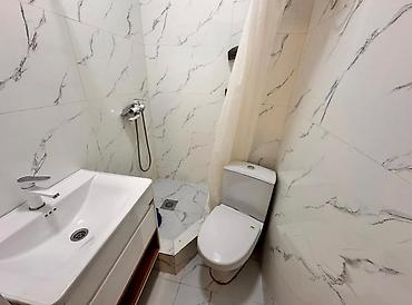 васильева: 1 комната, 45 м², Рынок Баят/Азиз Элитка, 4 этаж, Свежий ремонт — 4