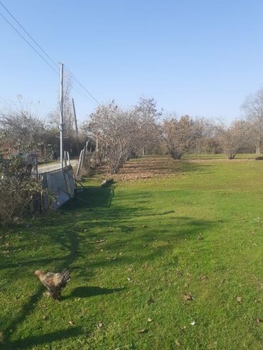 Torpaq sahələrinin satışı: 30 sot, Tikinti, Kupça (Çıxarış) — 5