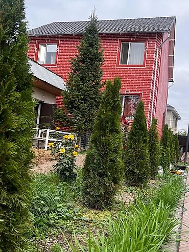 5: Продается 2этажный дом + цоколь с ухоженным участком 6 соток сзади — 2